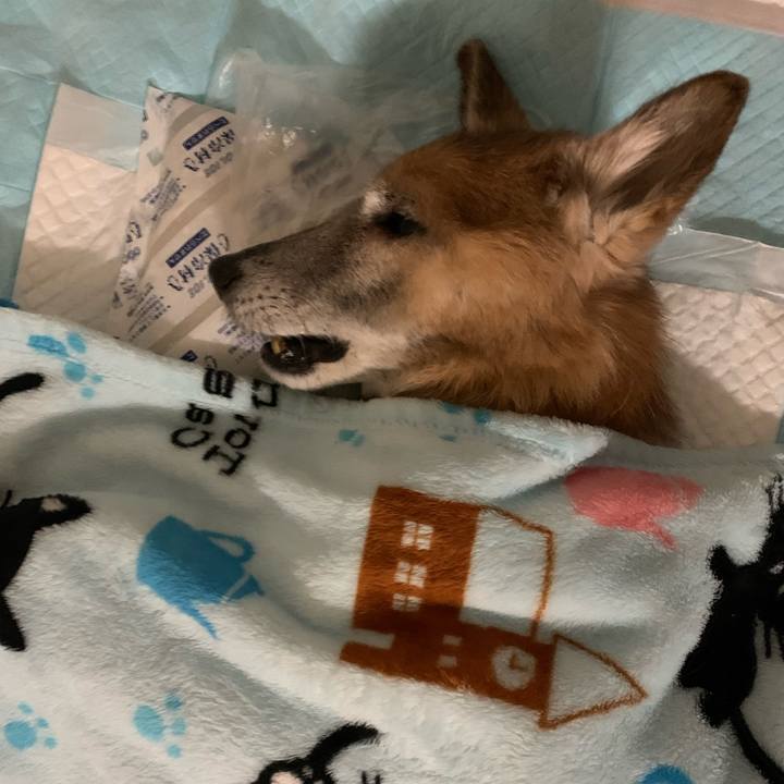 Ee0a5f74 5eaf 4a02 be24 173796e8a7b9 1678746142816