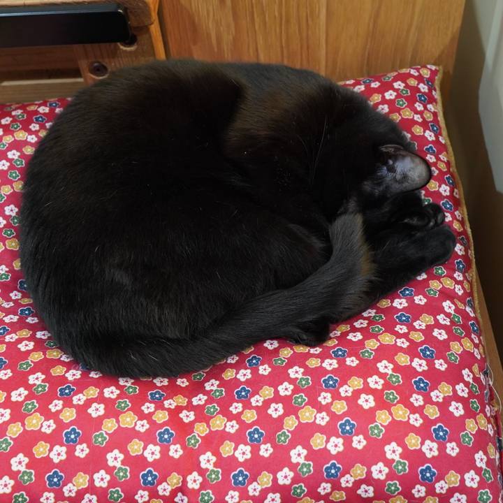 Ee0a66a0 b798 4652 90ff 300b1a4bafc4 1583740440704