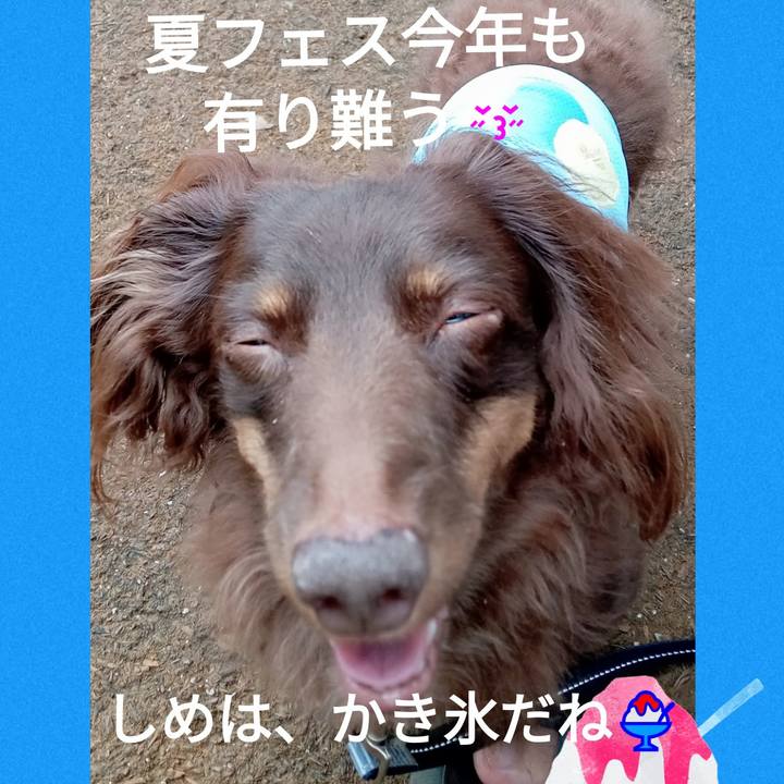 Ee0a6d65 20a8 4b8f a2d3 d72ac071e7d6 1755344491514