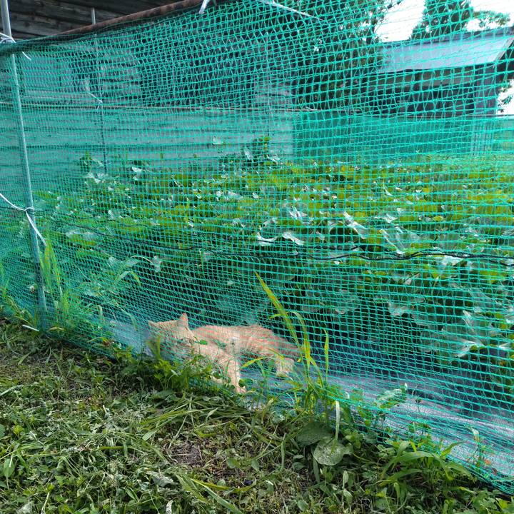 Ee0aac89 3c83 4d12 8e8a 672bdb0224a8 1721296380385