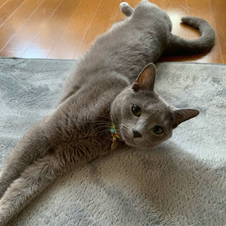 Ee0aad46 09d9 4a0b aa56 72039369257a 1626825891926