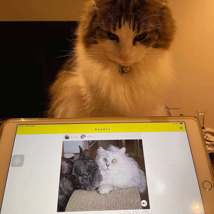 Ee0afae0 b2ab 4a59 8382 42e98ee686cd 1646398890458