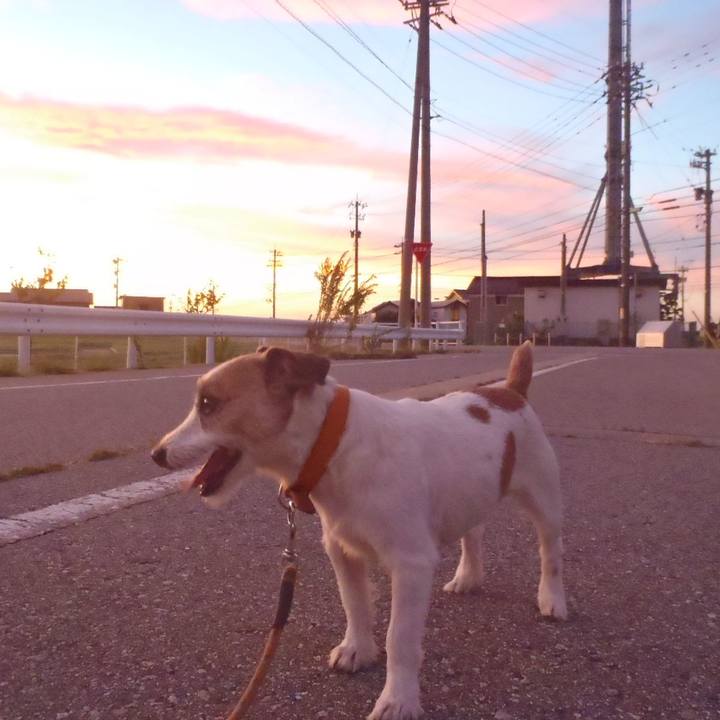 Ee0b1455 f0ba 4db3 81ab 62fb0797e46a 1535113601508