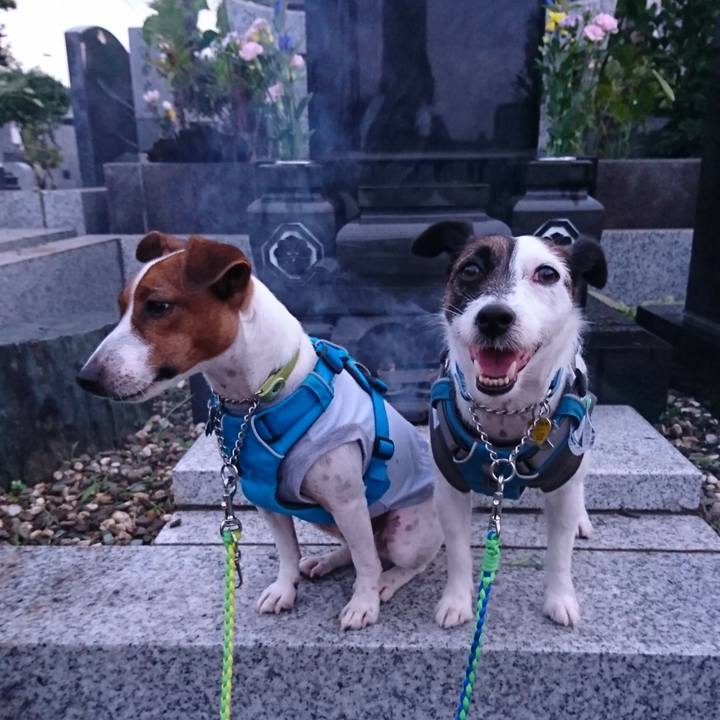 Ee0b1765 cd82 4207 a7f0 ad8d67b0981e 1565516599150