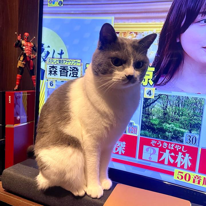 Ee0b1f16 3b1f 4c3e b6a9 32f0c6cff728 1685441928410