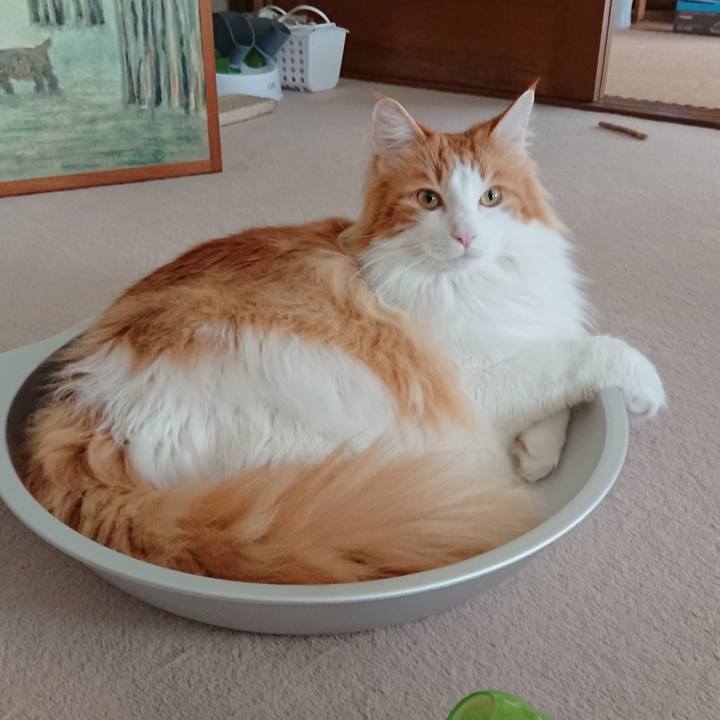 Ee0b22b2 7ff3 455c ad3b 3a1329265bd7 1526363350067