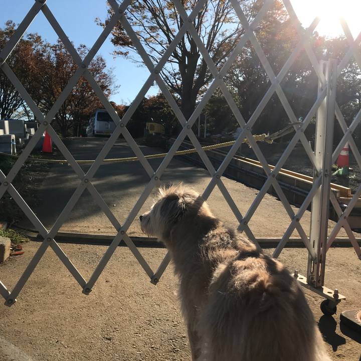 Ee0b2c43 293f 4c8d 879e b20c7b90cd2a 1573888964494