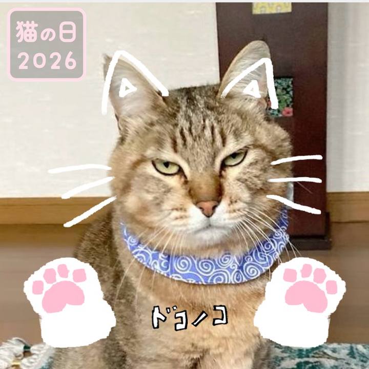 Ee0b4dab 01aa 42bd 8503 c606d2bf27c0 1771753020744