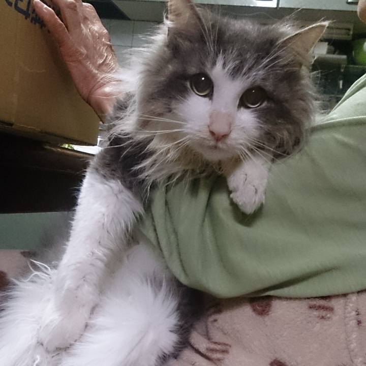 Ee0b5bf6 4d6e 4772 bd90 4efd49a09cff 1767189223127