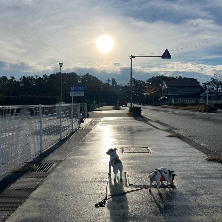 Ee0b5c4c 690c 4b9e 8874 84c9e48391a6 1668987703034