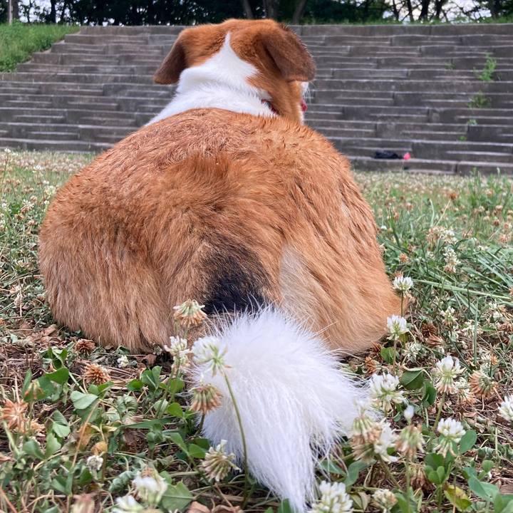 Ee0b6de4 cd3d 4f34 9c23 3e6ea3706e03 1689211065680