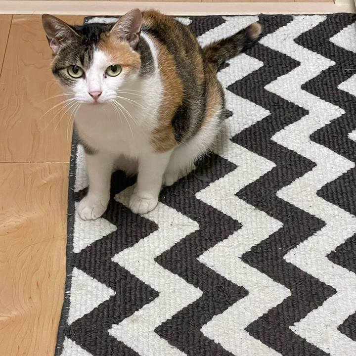 Ee0bc46b 12fa 4fbc afc7 4f39873cd7dc 1656695251909