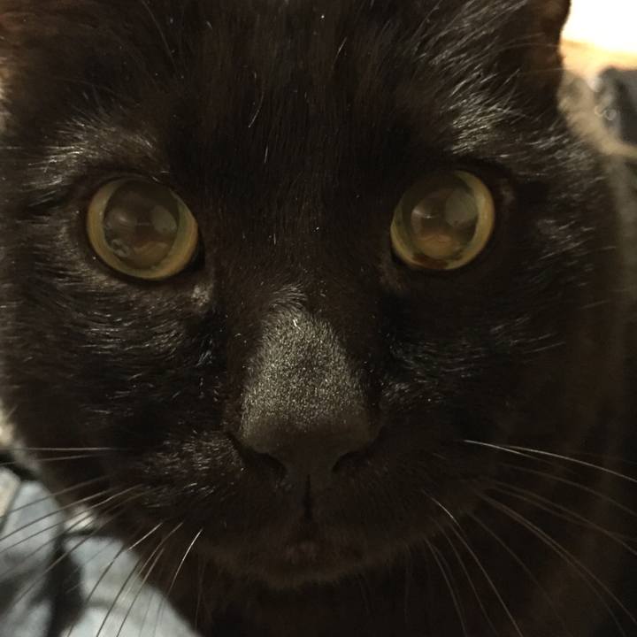 Ee0be362 b5c0 4e1b a97a 766db4de0d11 1580210947161