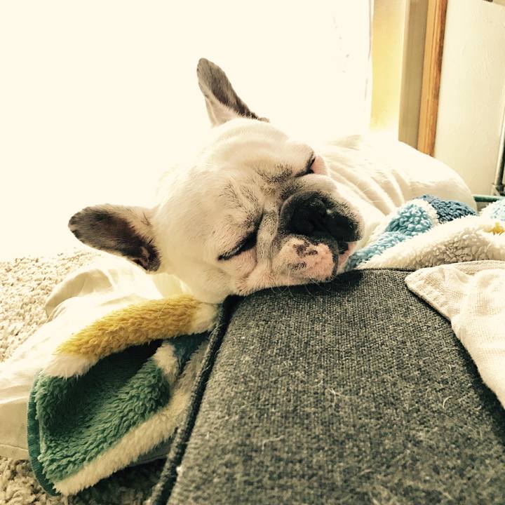 Ee0c0ad8 d61a 47e3 8457 a072fee77e2f 1511153526009