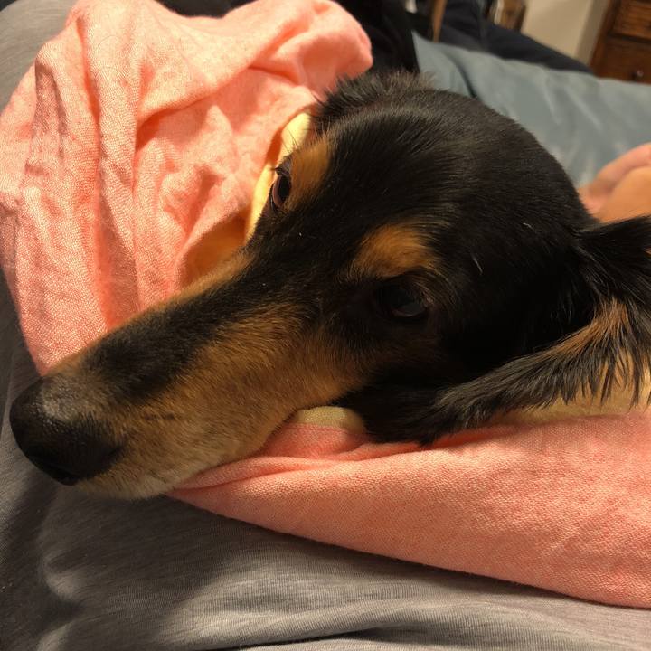 Ee0c7509 d556 4f05 9e56 42001f701dd0 1538224638060