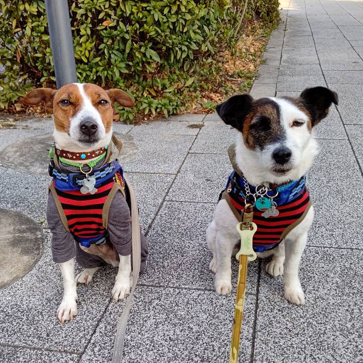 Ee0ca902 d08a 4d75 b072 8049c77def19 1646089668951