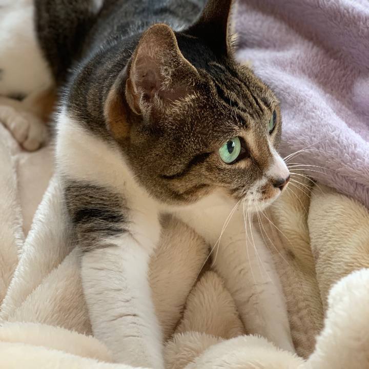 Ee0cf495 bdde 4026 a55c 2abbfa7ced90 1547512711306