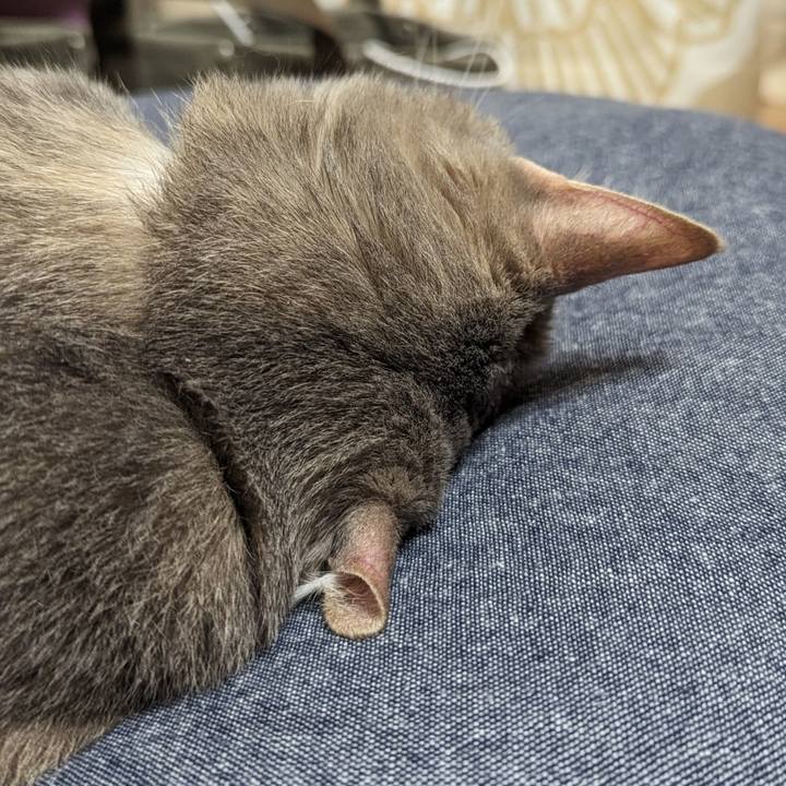 Ee0d028f 4748 4bf2 bfbf 0f39882e2a6a 1716351669861