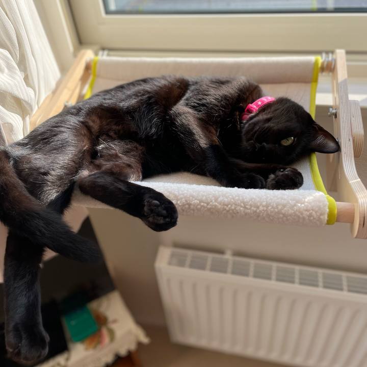 Ee0d0bae 1543 4fd2 af59 511a4990f60d 1693460903954