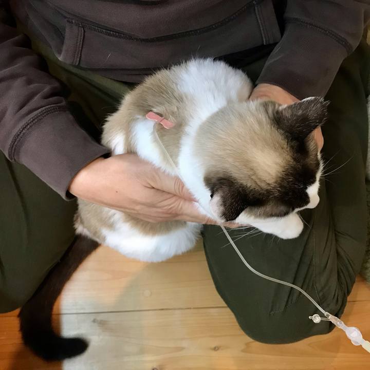 Ee0d0f66 2872 43a9 8a12 6fe33de9be01 1609676017401