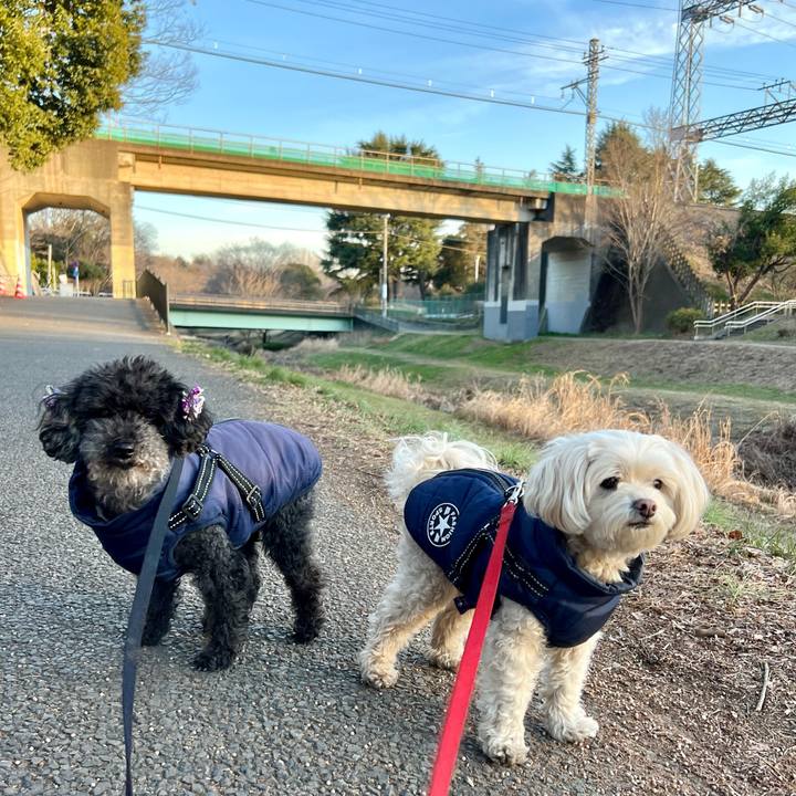 Ee0d1718 2877 4ff1 bebe 0eea523a9f2b 1770192707320