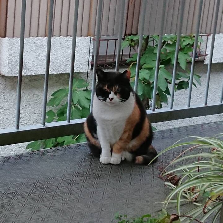 Ee0d3e53 4eae 4450 9d21 bee3e3d147e7 1575257876865