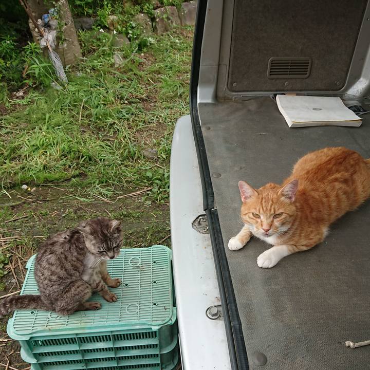 Ee0d4059 484c 434e 86be d26858432e9d 1595743797779