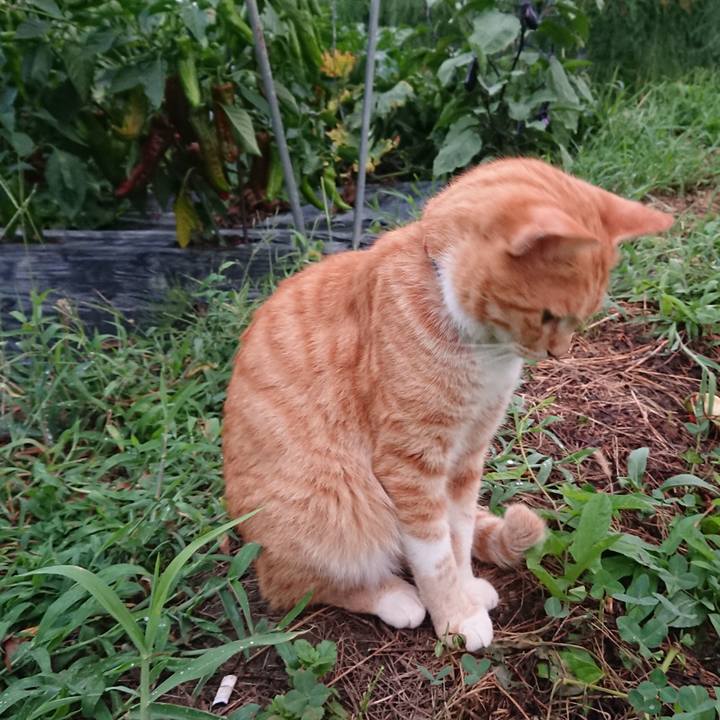 Ee0d5120 5837 49fb 92f0 df7349839b2c 1566294361529