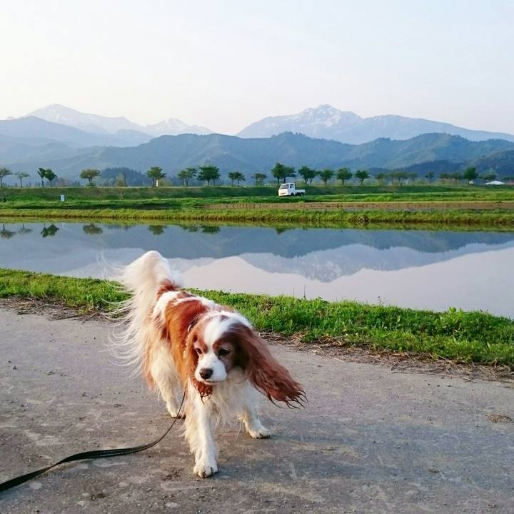 Ee0d5e55 32af 49dd a7c5 4c092f8e5489 1526420468506