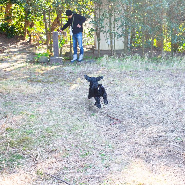 Ee0d606e 3746 438d b06f 4ef2e0646b25 1579092421391