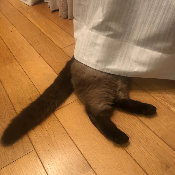 Ee0dbc37 c8bb 48a4 878d f560fa48253b 1622502654631