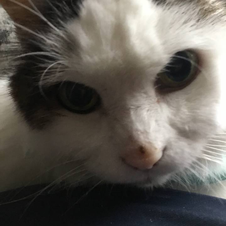 Ee0dbce2 24fd 4c1c 8d39 a83565f08143 1574756449312