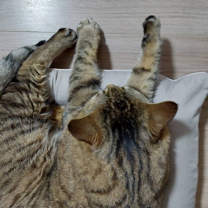 Ee0dd5ca cd0a 4037 9c5b 005d468c24d6 1645738270922