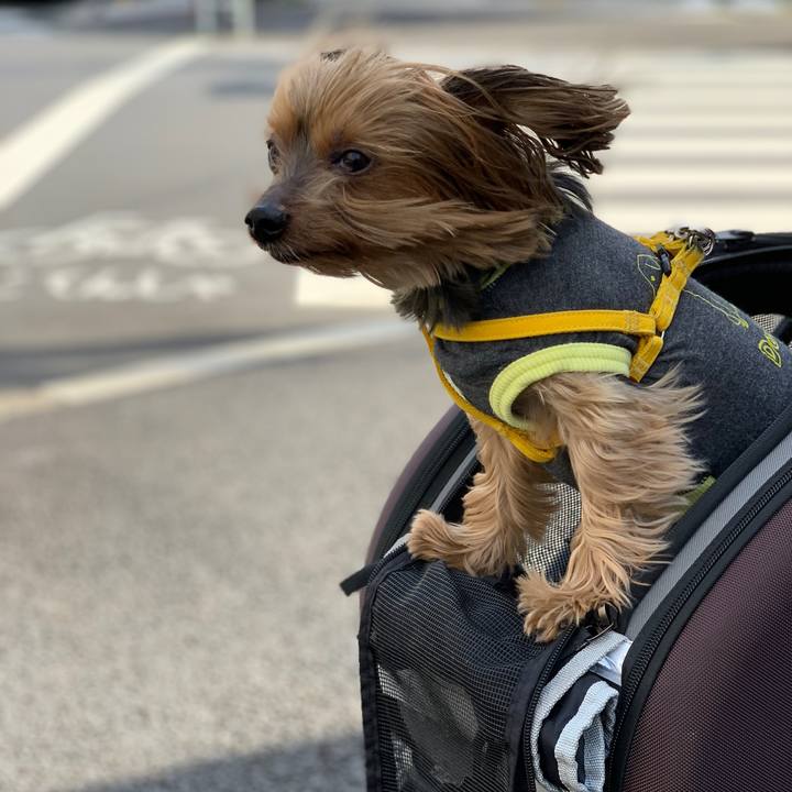 Ee0e24cb 9da1 43d9 a684 bf4a55b00baf 1584842795717