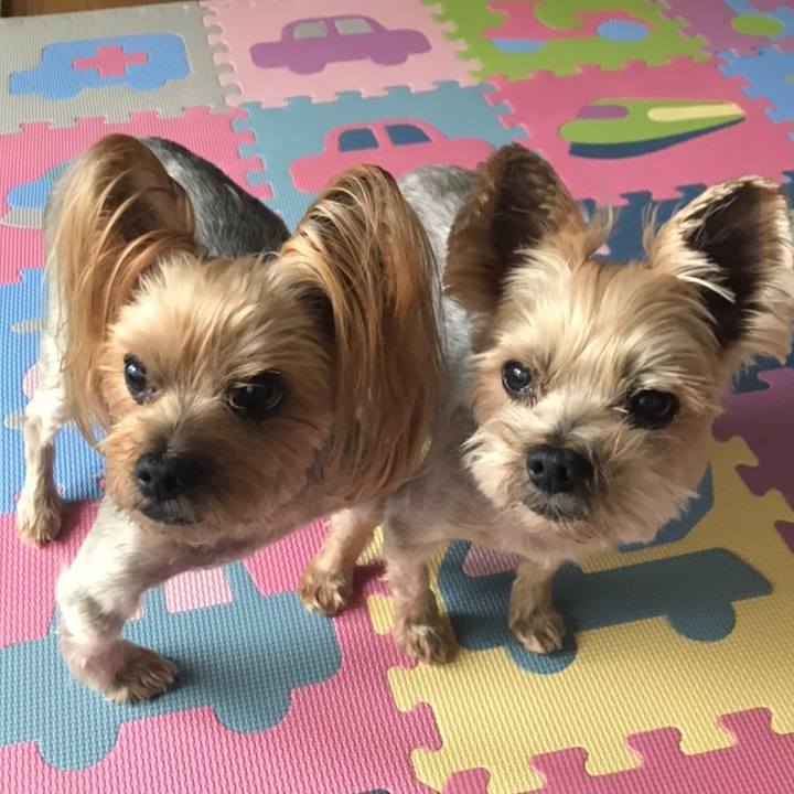 Ee0e3380 bf19 4789 887b 4a6cd357356a 1591696282120