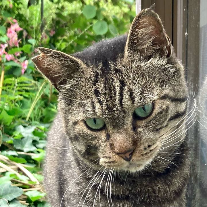 Ee0e7548 ff35 4572 83e3 427aefde3c37 1662443459442