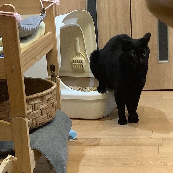 Ee0e767c d955 41f2 895d afedd0ea3a81 1572062566916