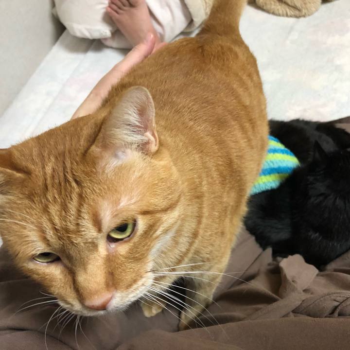 Ee0ece5d f081 4259 9fc7 07c19ee9b750 1607685077040