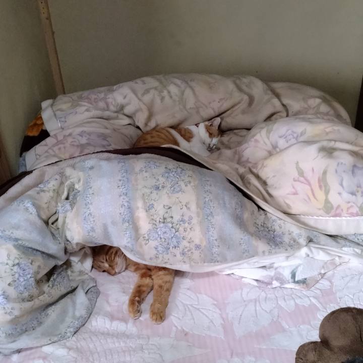 Ee0edb1f 4b18 45ab 9975 59ef1b5efcbe 1740900781876