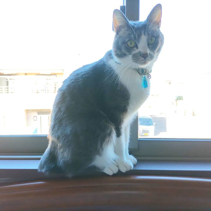 Ee0eefa7 92d7 4a49 93f3 5e3f63ad0431 1700460737268