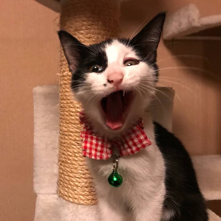 Ee0f052f b6cd 4d8a 8901 2e633cd9e982 1509720589115