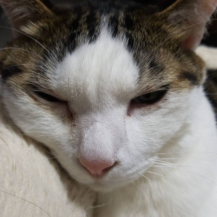 Ee0f1831 58dc 4edb a1c1 ef94b2209a80 1582542216352