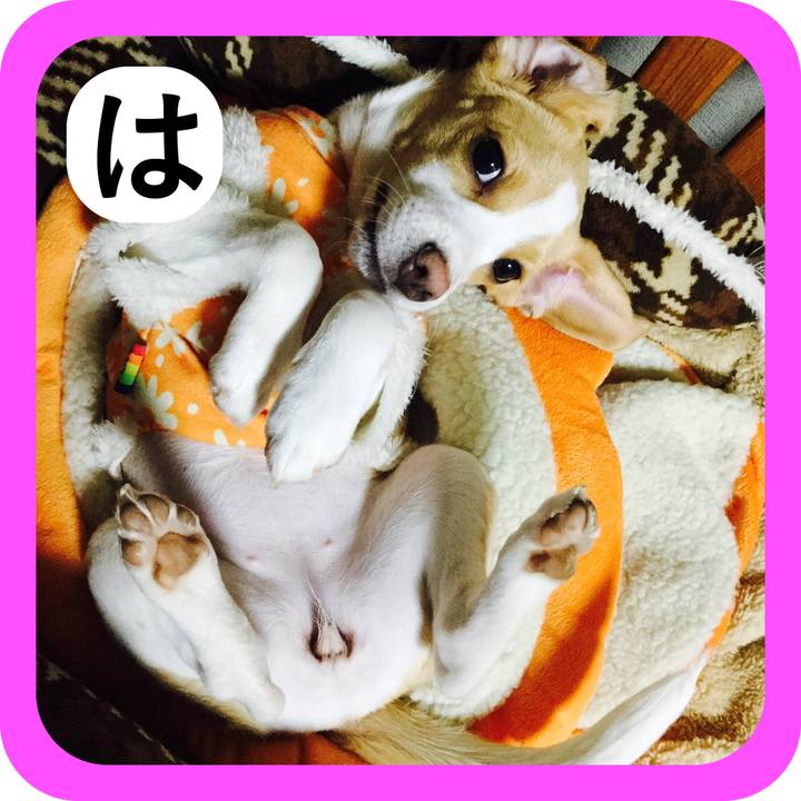 Ee0f3efb 6675 4af3 af0c 76856312d9b7 1515031238019