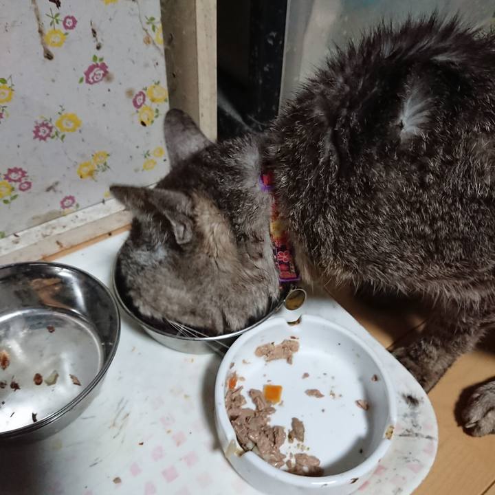 Ee0f58b1 5d1d 438d af65 577ec49384e6 1597176369166