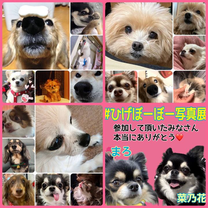 Ee0f762e 880c 4b54 9df8 c06e5d04cf1e 1676759000163