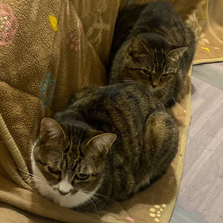 Ee0f831c 0221 4304 abf5 ce8e9683211d 1669754121029