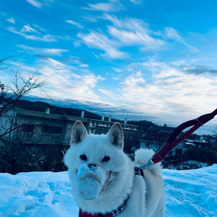 Ee0fa9de 10d1 4e05 8187 45594daadb13 1701556381342