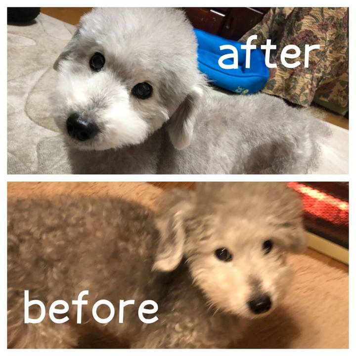 Ee0fbd26 61e1 4a68 8a8d 26659a50eb21 1583448537962