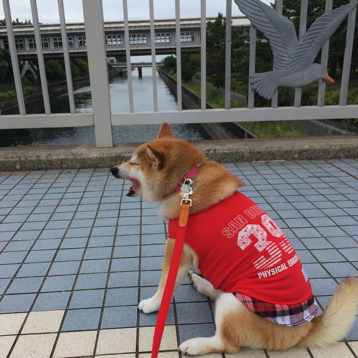 Ee0ff689 f2ee 4206 8591 4ec754a8fefd 1569056242969