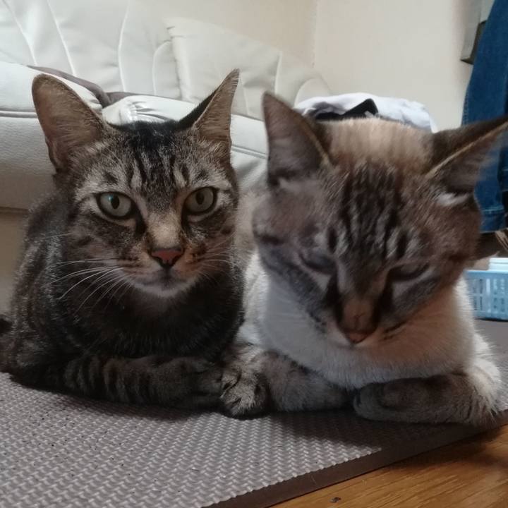 Ee101820 53cd 4aa3 baa0 110d476969df 1596879605524